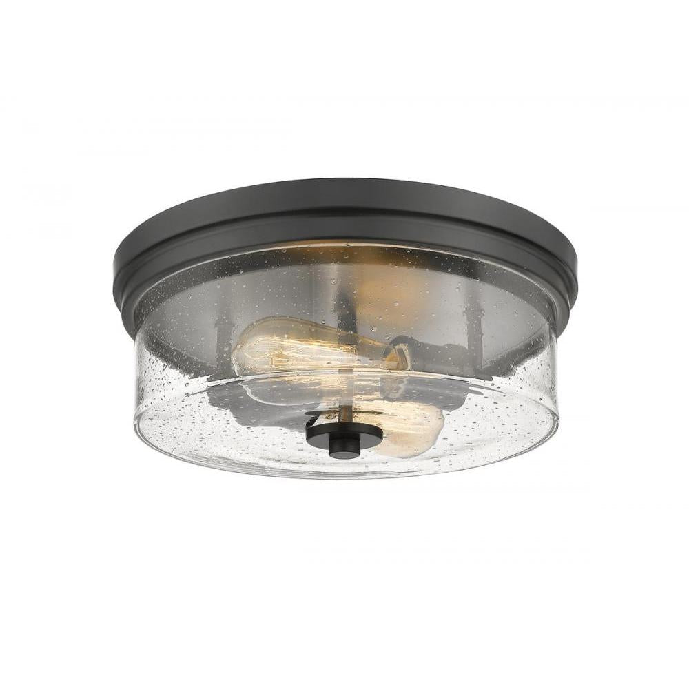 2 Light Flush Mount Light-Clear Seedy