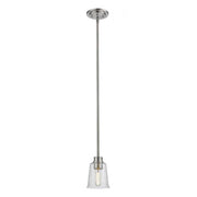 1 Light Pendant-Clear Seedy
