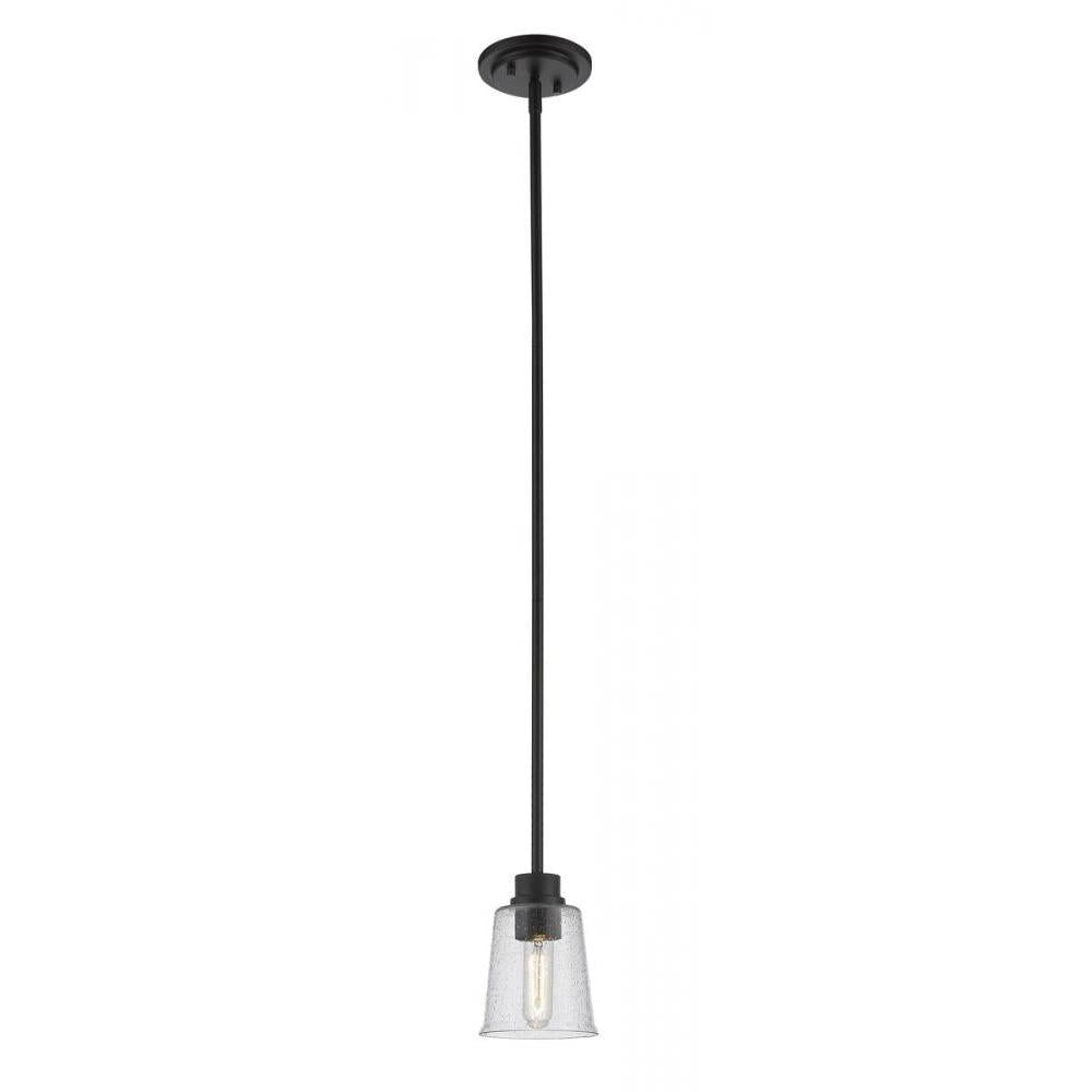 1 Light Pendant-Clear Seedy