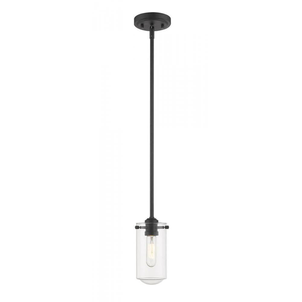 1 Light Pendant-Clear