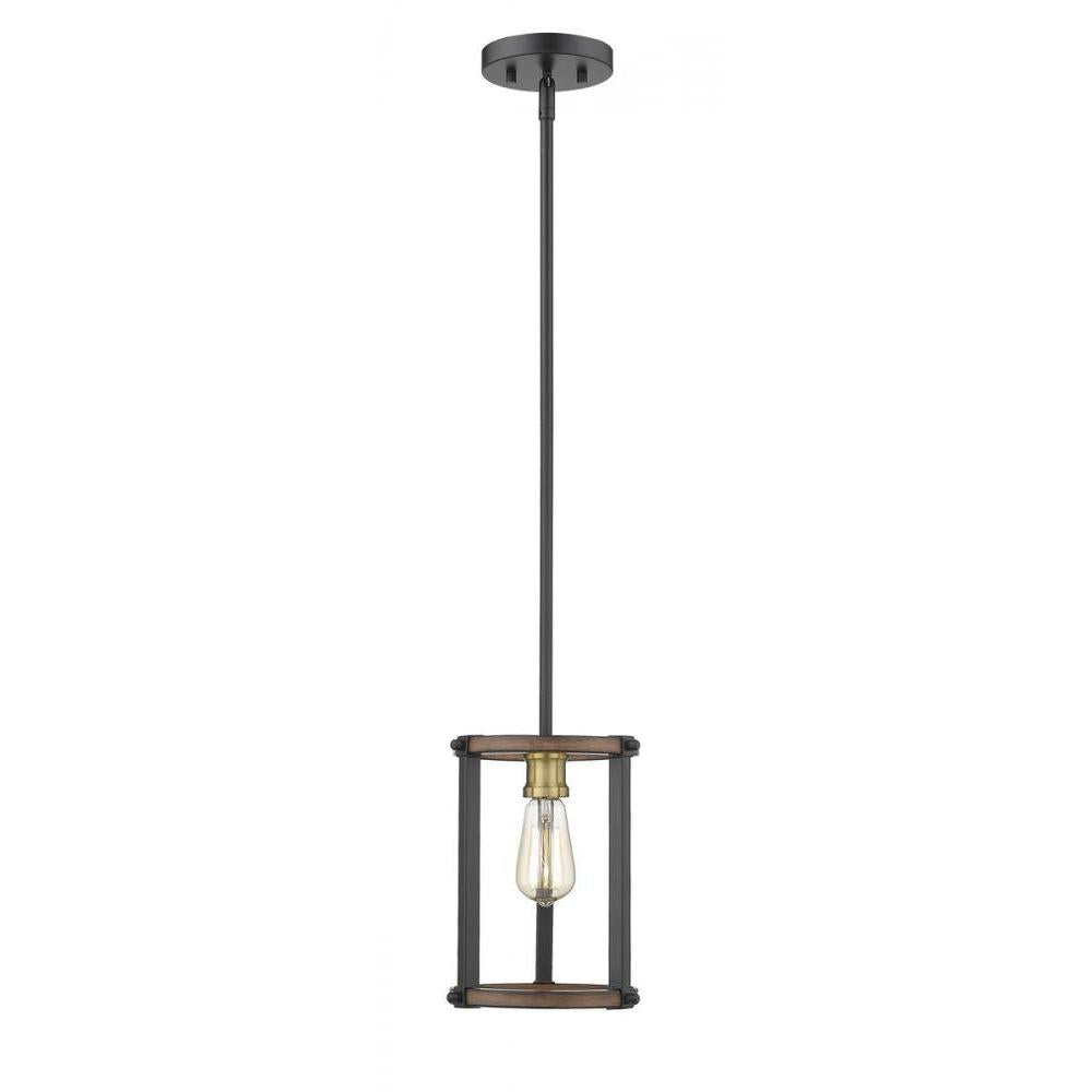 1 Light Pendant