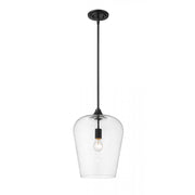 1 Light Pendant-Clear