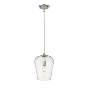 1 Light Pendant-Clear