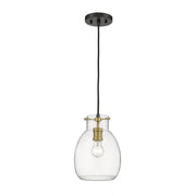 1 Light Pendant-Clear