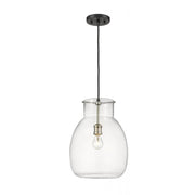 1 Light Pendant-Clear