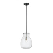 1 Light Pendant-Clear