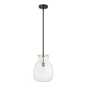 1 Light Pendant-Clear