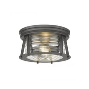 2 Light Flush Mount Light-Clear