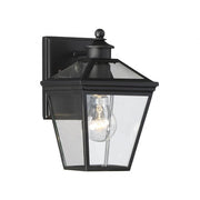 Ellijay 1-Light Outdoor Wall Lantern in Black