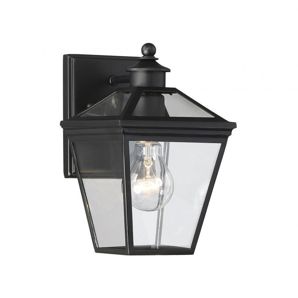Ellijay 1-Light Outdoor Wall Lantern in Black