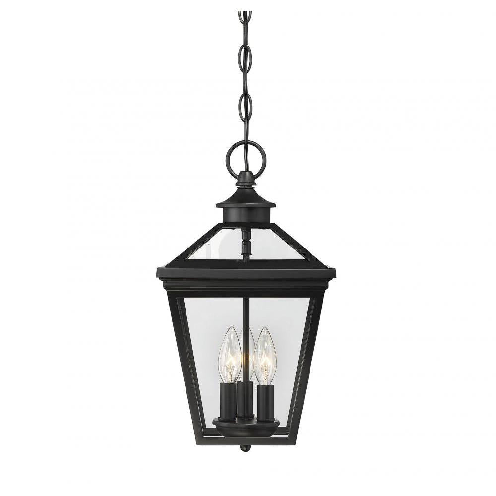 Ellijay 3-Light Outdoor Hanging Lantern in Black