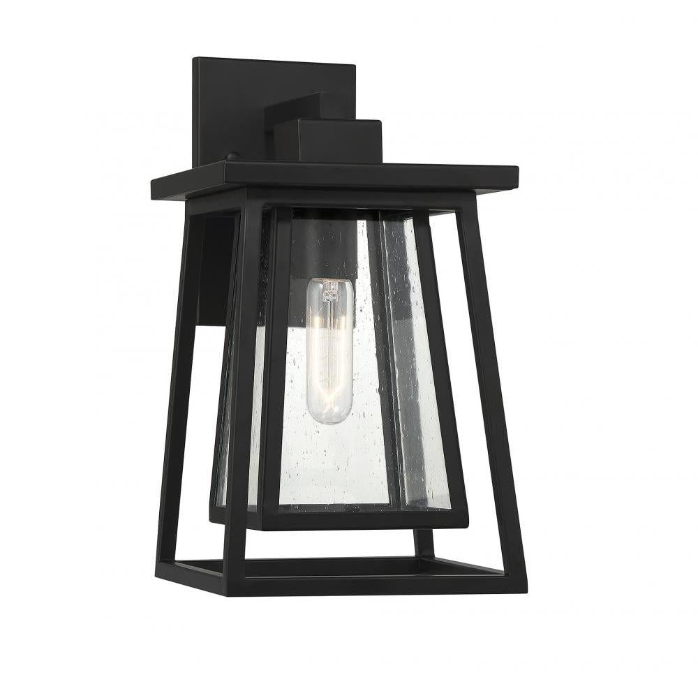 Denver 1-Light Outdoor Wall Lantern in Matte Black