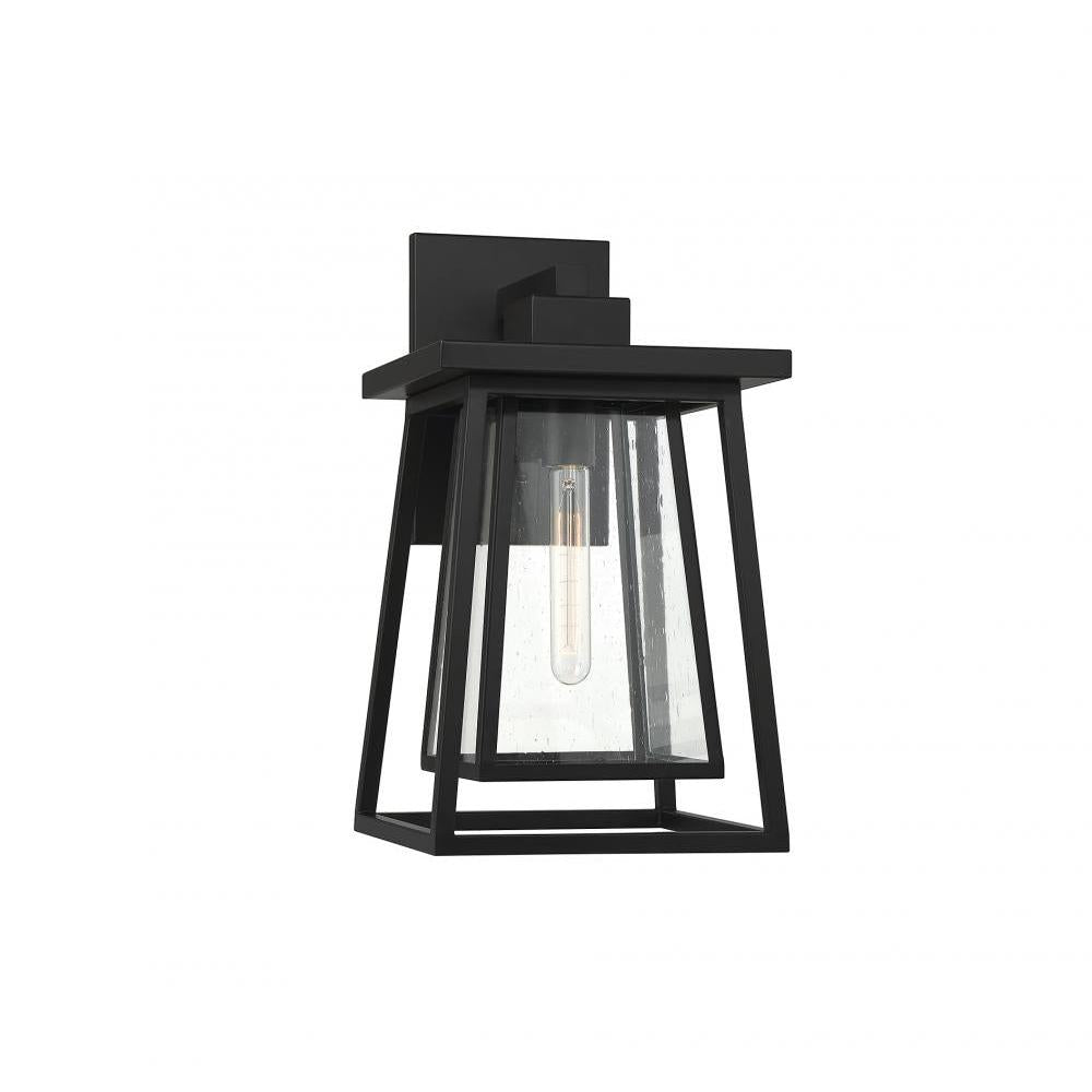 Denver 1-Light Outdoor Wall Lantern in Matte Black