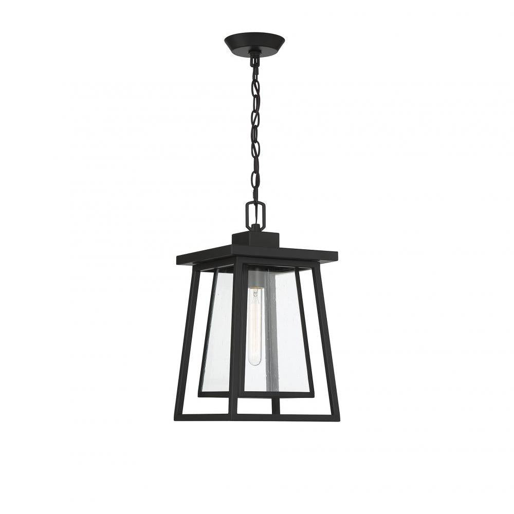 Denver 1-Light Outdoor Hanging Lantern in Matte Black