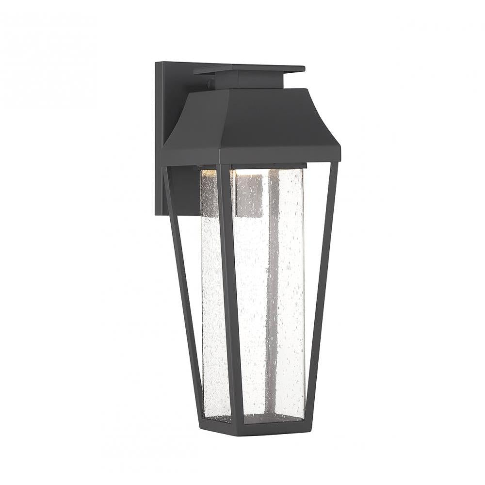 Brookline LED Outdoor Dark Sky Wall Lantern in Matte Black