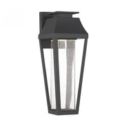 Brookline LED Outdoor Dark Sky Wall Lantern in Matte Black