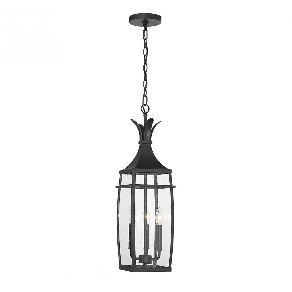 Montpelier 3-Light Outdoor Hanging Lantern in Matte Black