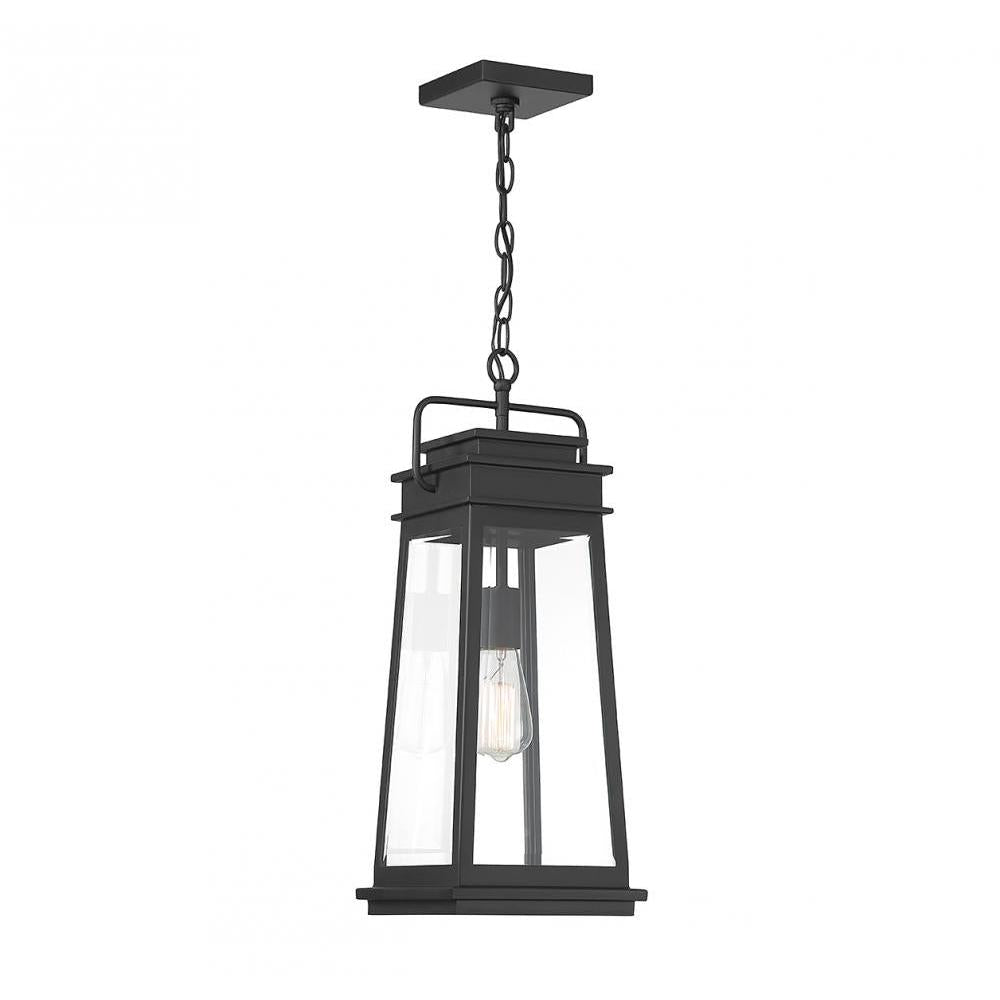 Boone 1-Light Outdoor Hanging Lantern in Matte Black