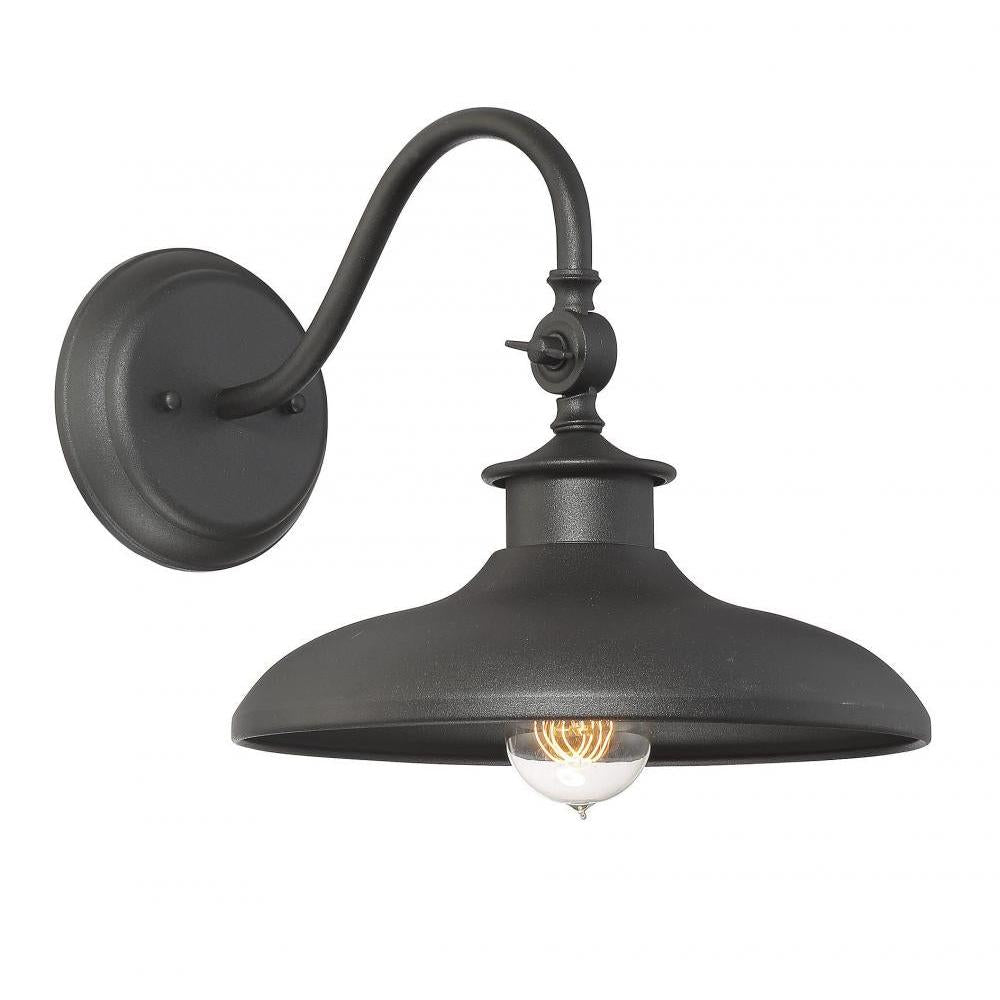 Raleigh 1-Light Outdoor Wall Lantern in Black
