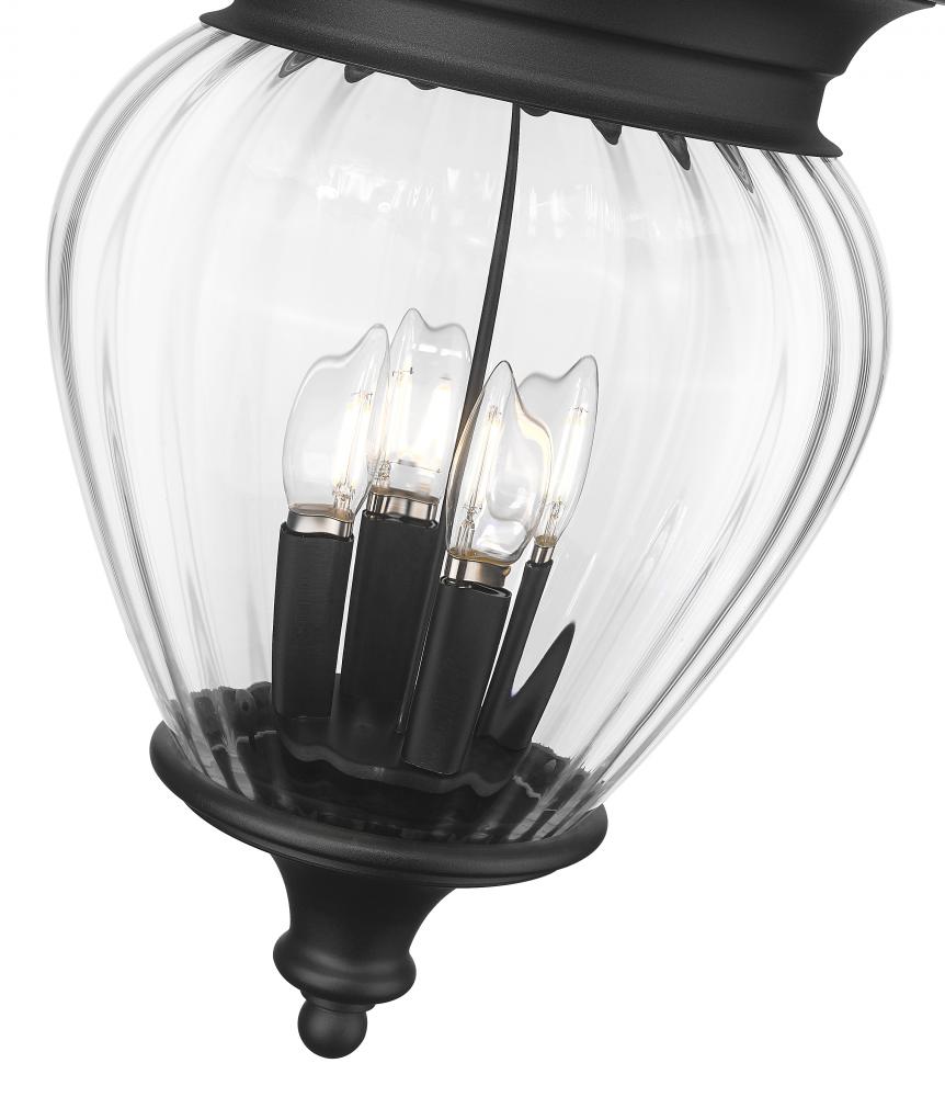 Z-Lite Lighting 5016CHB-BK Exterior - Black