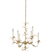 Ainsley 6 Light Chandelier