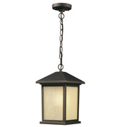 1 Light Outdoor Chain Mount Ceiling Fixture-Tinted Seedy