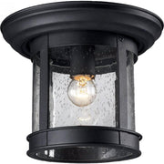 1 Light Outdoor Flush Mount Light-Clear Seedy
