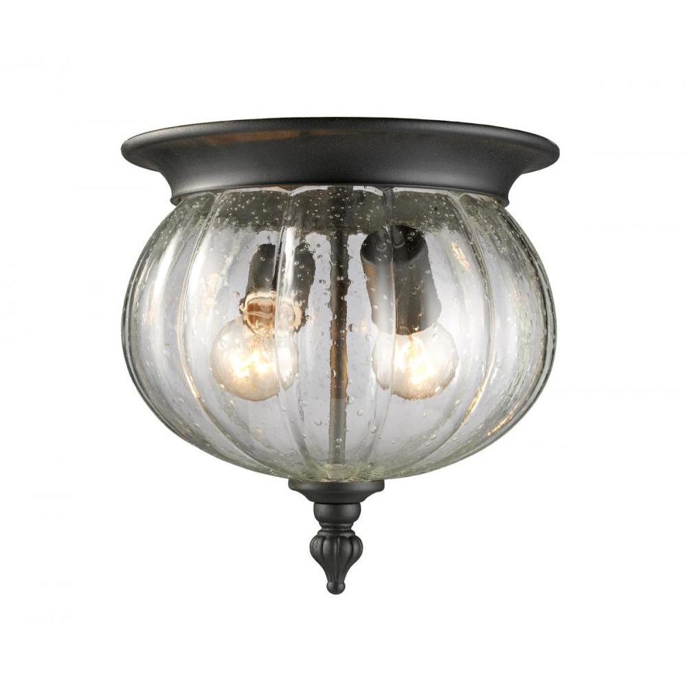 2 Light Outdoor Flush Mount Light-Clear Seedy