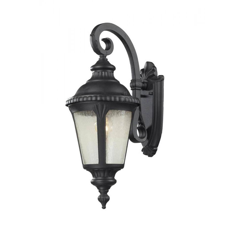 1 Light Outdoor Wall Light-Clear Seedy