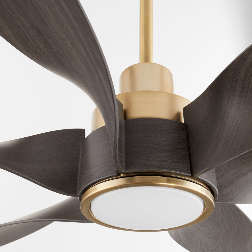 Quorum Lighting KIMBO 55606-80 Fan - Aged Brass