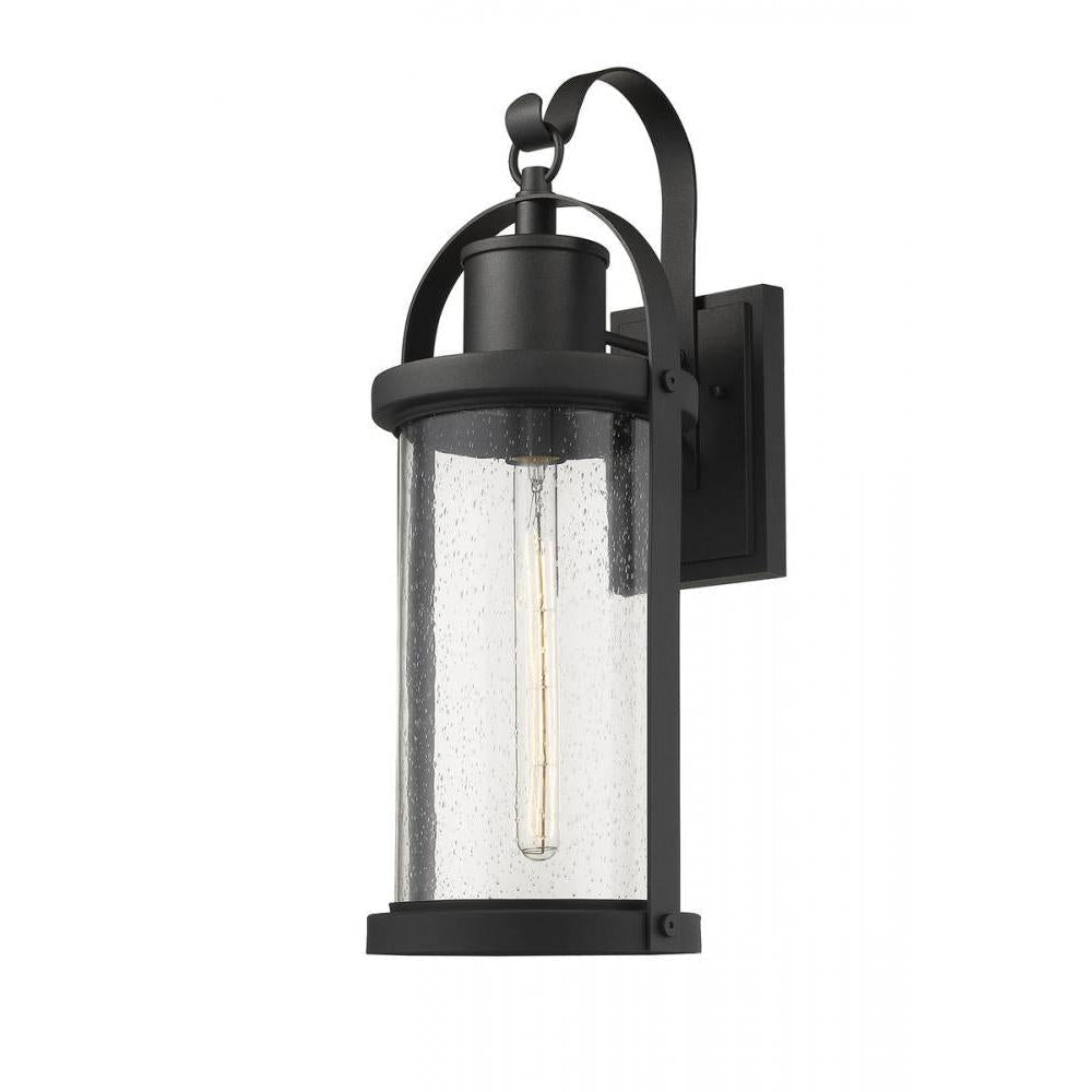 1 Light Outdoor Wall Light-Clear Seedy