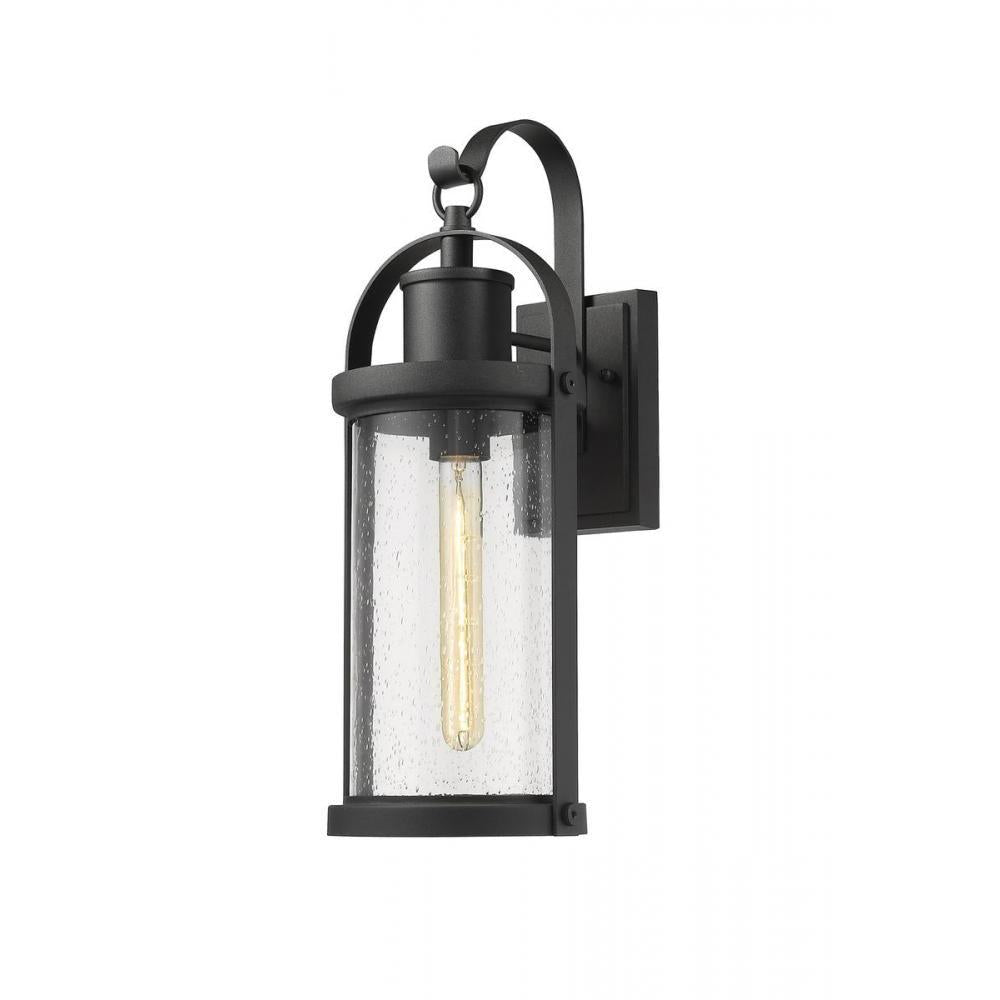 1 Light Outdoor Wall Light-Clear Seedy