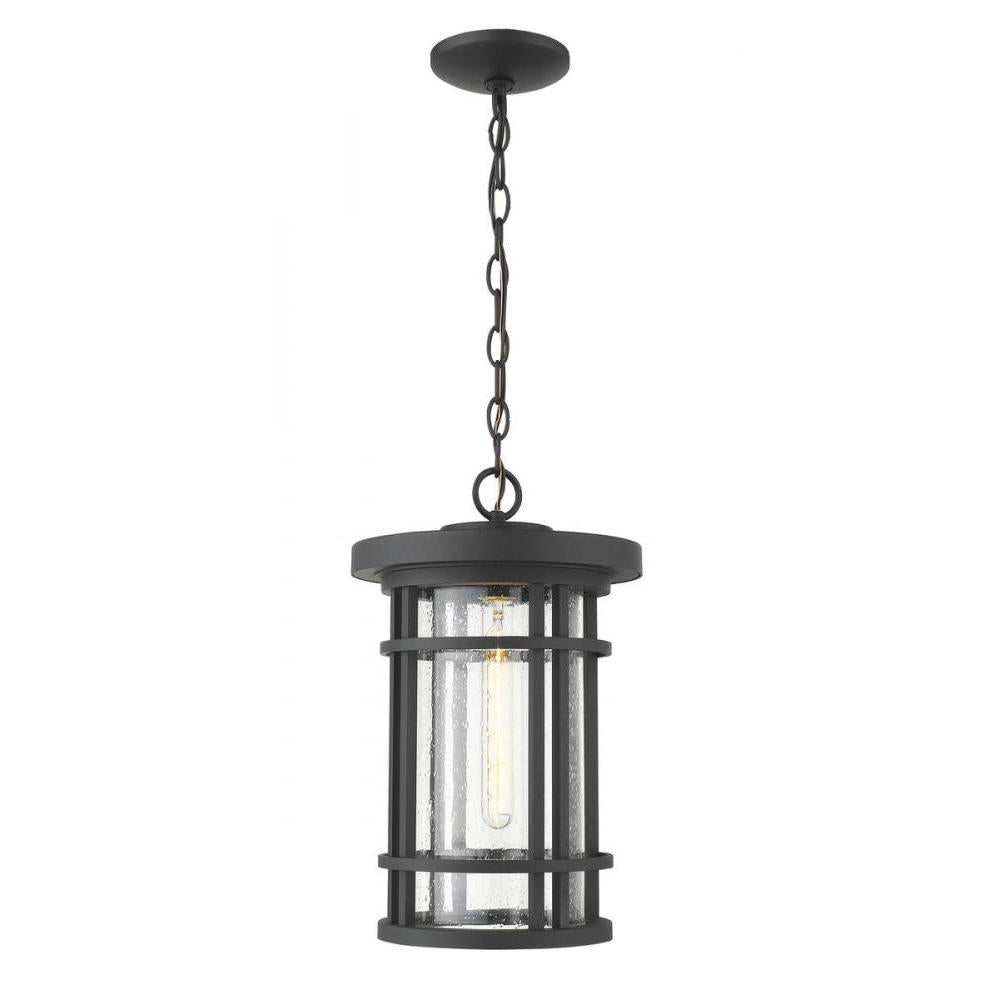 1 Light Outdoor Chain Mount Ceiling Fixture-Clear Seedy