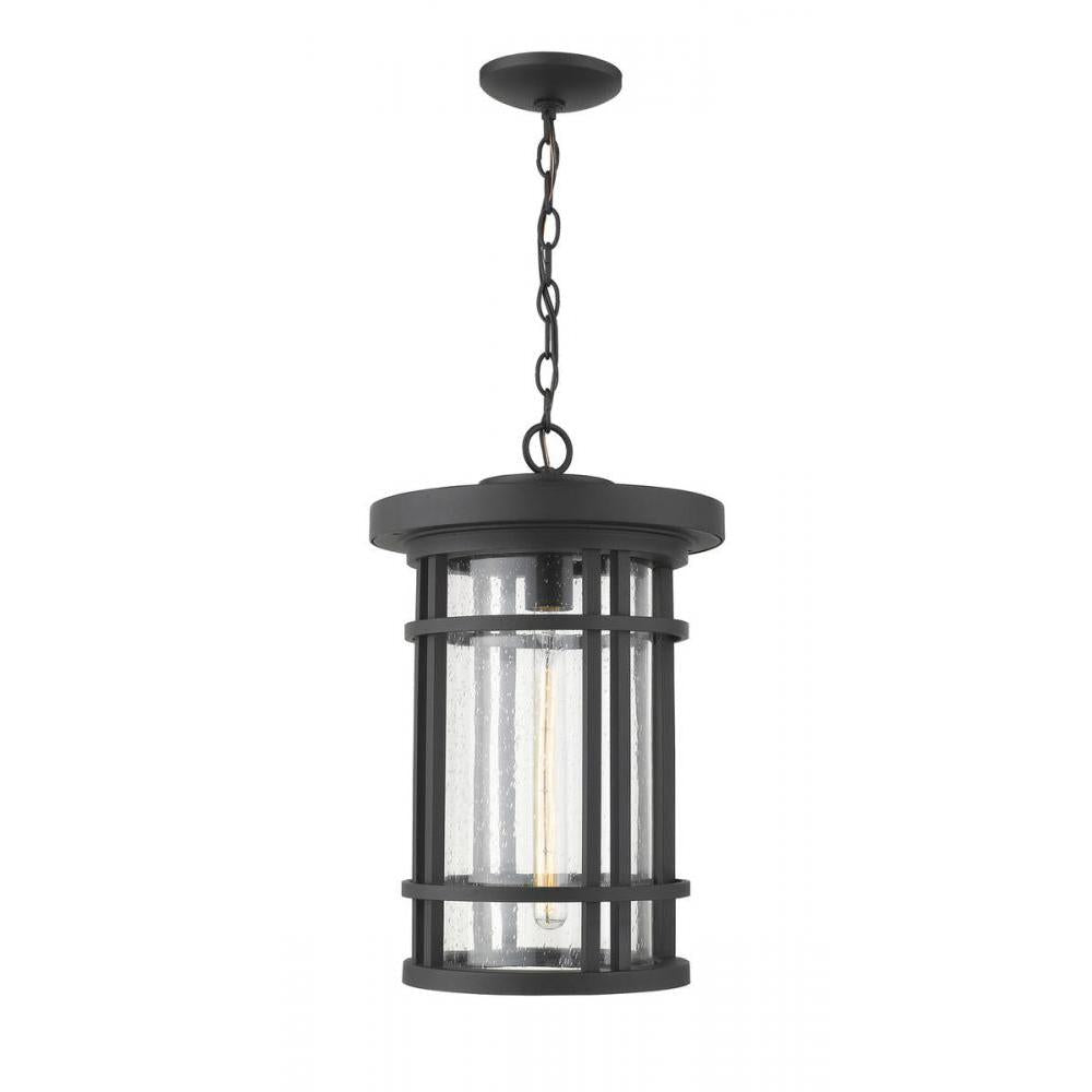 1 Light Outdoor Chain Mount Ceiling Fixture-Clear Seedy