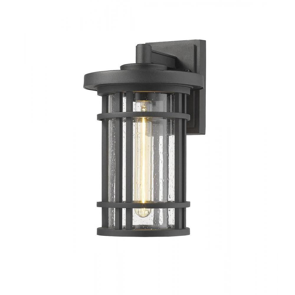 1 Light Outdoor Wall Light-Clear Seedy