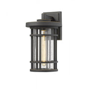 1 Light Outdoor Wall Light-Clear Seedy
