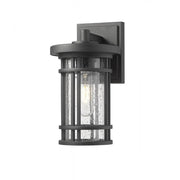 1 Light Outdoor Wall Light-Clear Seedy