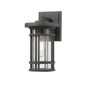 1 Light Outdoor Wall Light-Clear Seedy