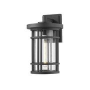 1 Light Outdoor Wall Light-Clear Seedy