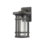 1 Light Outdoor Wall Light-Clear Seedy
