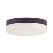 Illuminaire II-Flush Mount