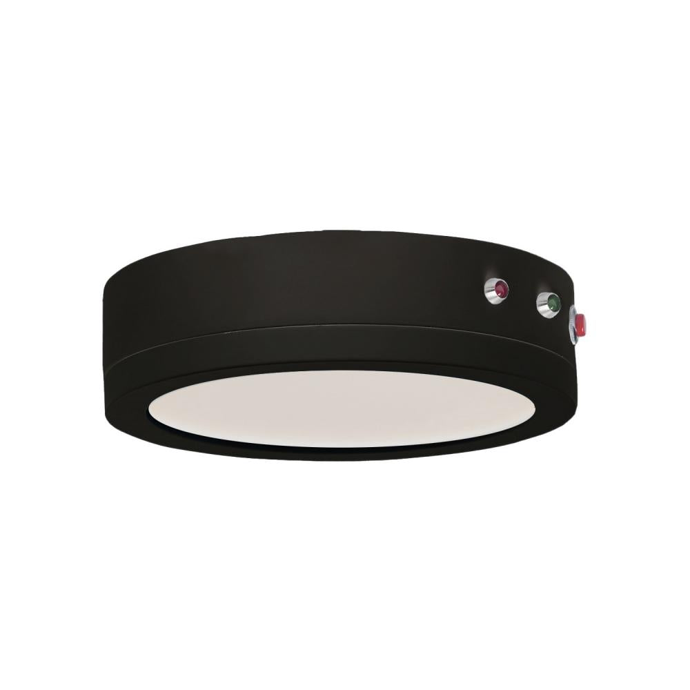 Wafer 7 LED Wafer Light - Black