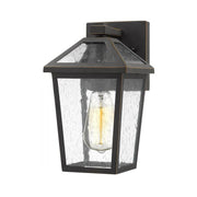 1 Light Outdoor Wall Light-Clear Seedy