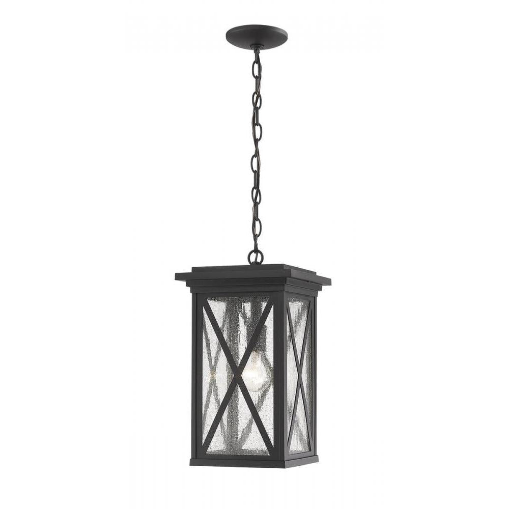 1 Light Outdoor Chain Mount Ceiling Fixture-Clear Seedy