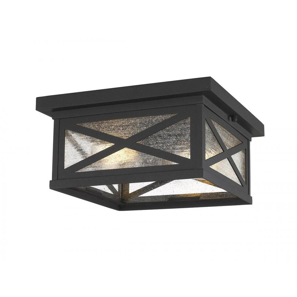 2 Light Outdoor Flush Mount Light-Clear Seedy