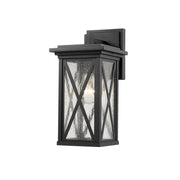 1 Light Outdoor Wall Light-Clear Seedy