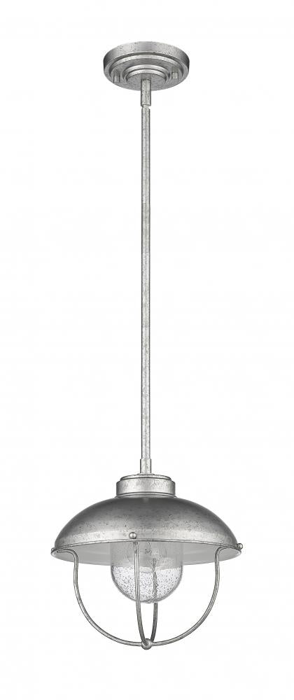 Z-Lite Lighting 590P-GV Outdoor Pendant Farm House - Steel