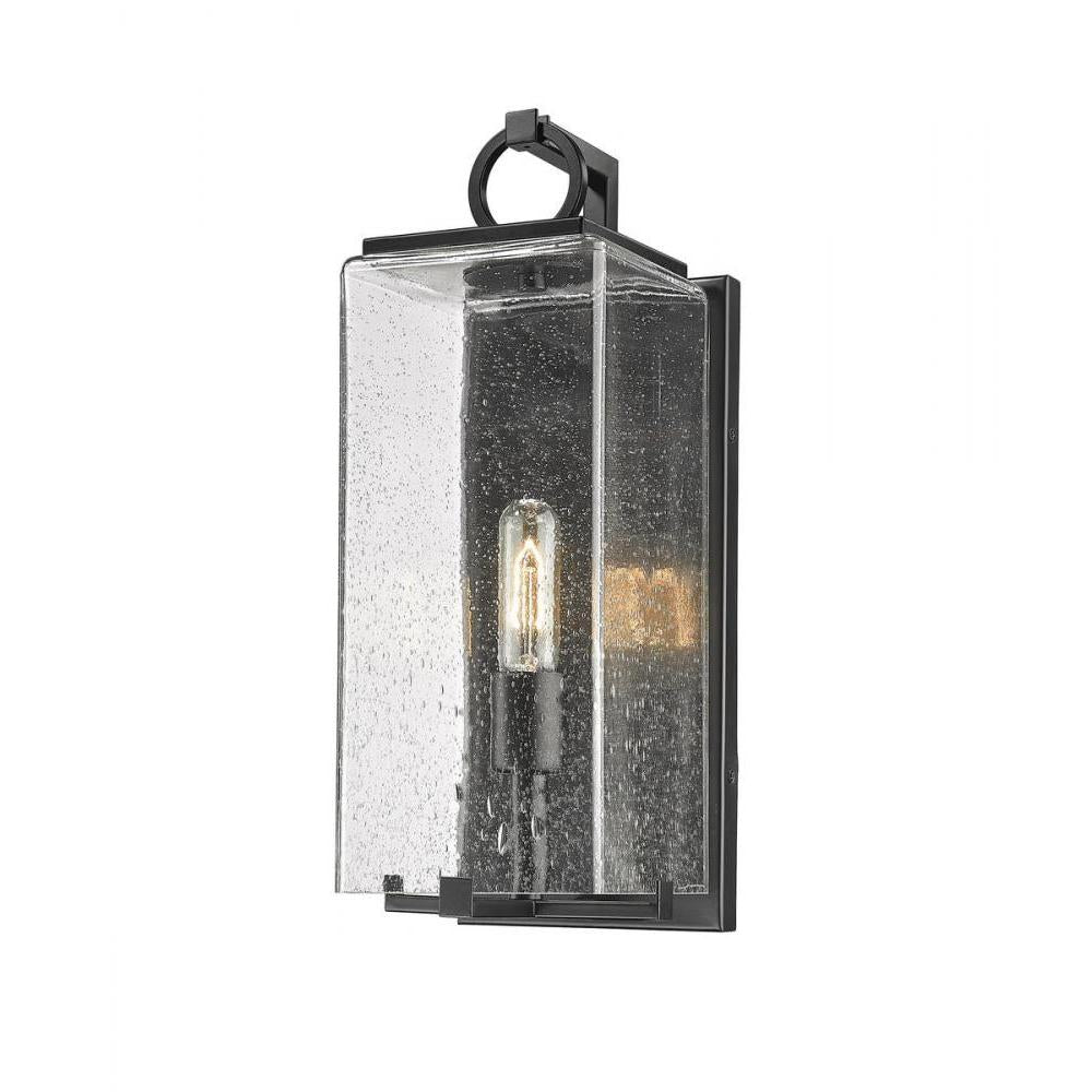 1 Light Outdoor Wall Light-Clear Seedy