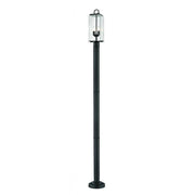 2 Light Outdoor Post Mounted Fixture-Clear Seedy