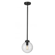 1 Light Outdoor Pendant-Clear Seedy